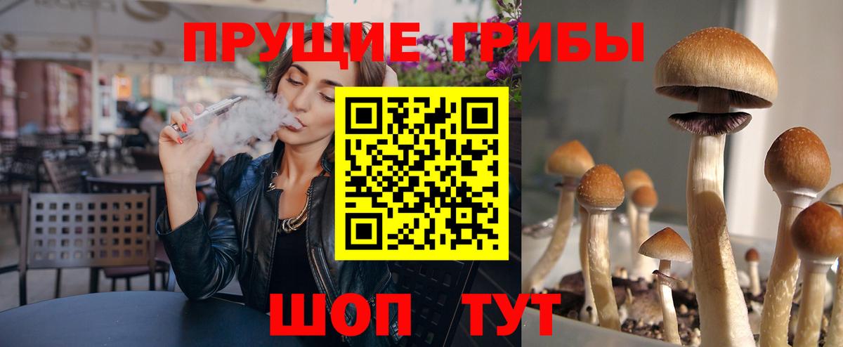 Псилоцибиновые грибы MAGIC MUSHROOMS Чусовой