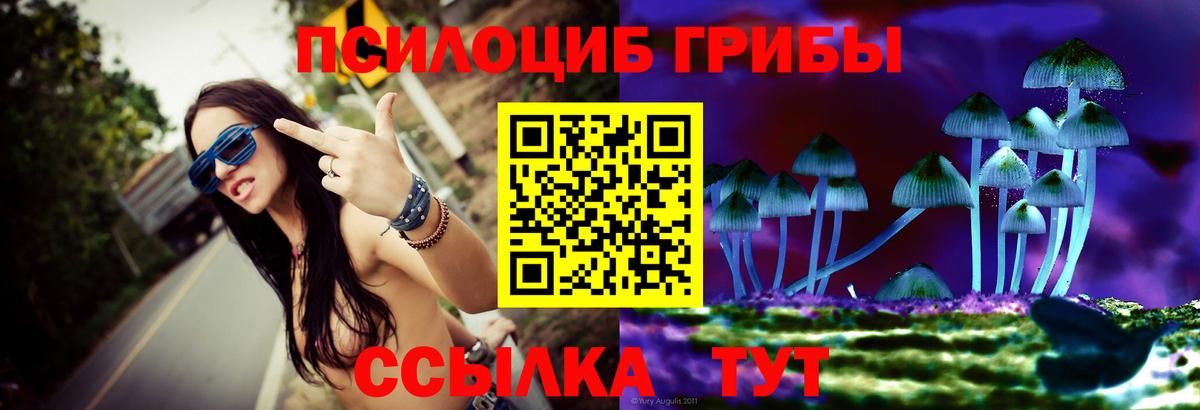 Чусовой  Псилоцибиновые грибы мицелий  Вход с VPN 